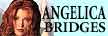 2006/Images03/angelicabridgeslogo.gif